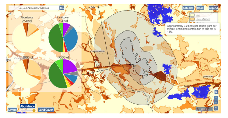 Predicted bee abundance map in BeeMapper web tool