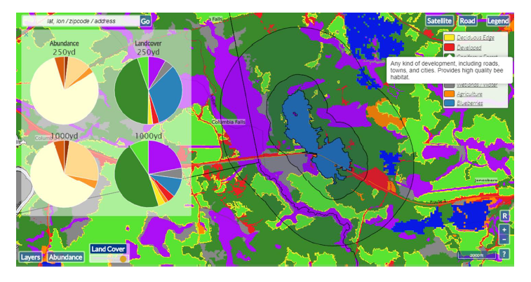 Land cover map in BeeMapper web tool