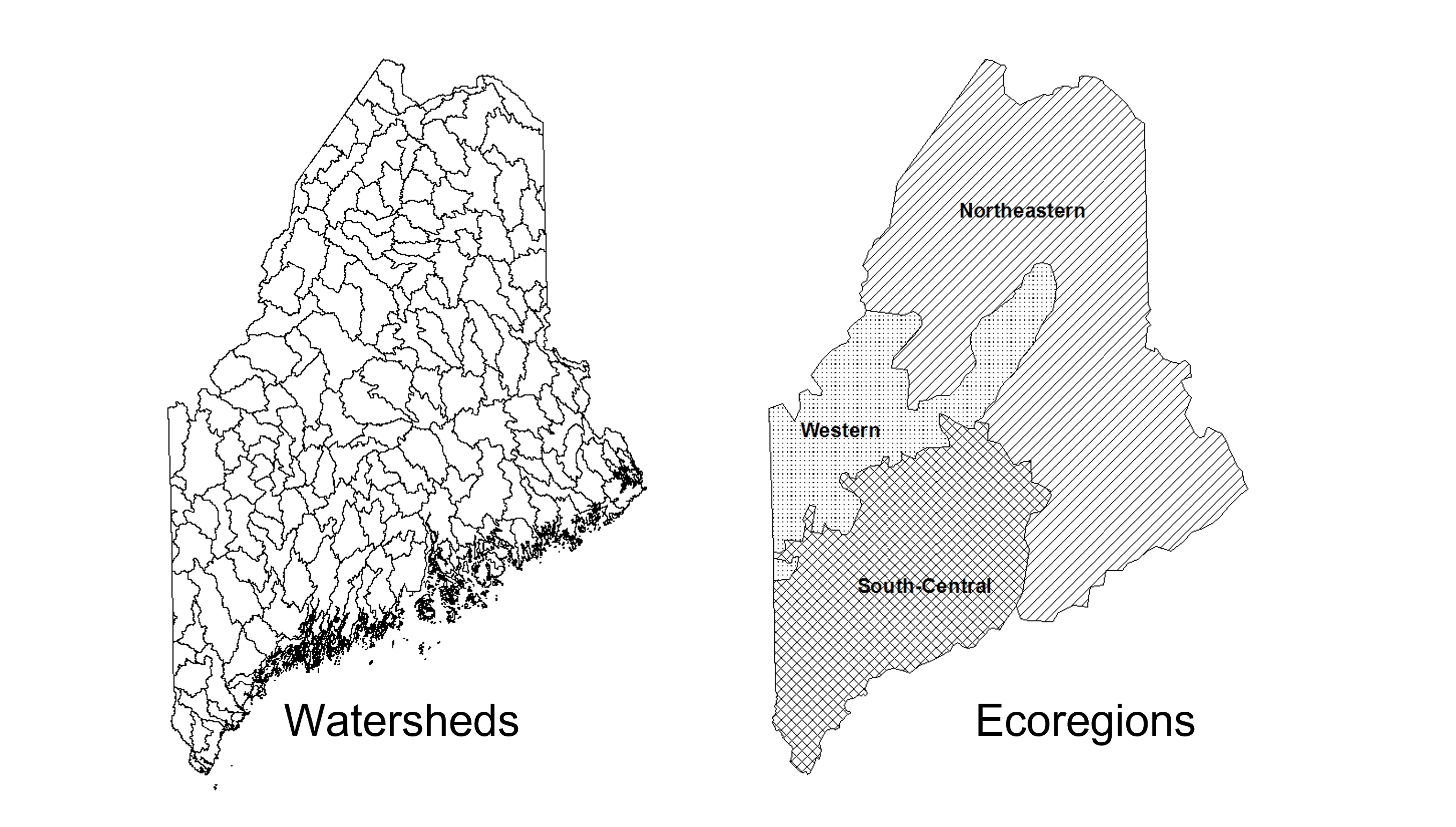 Two simple vector maps, one of small watersheds and one of large ecoregions