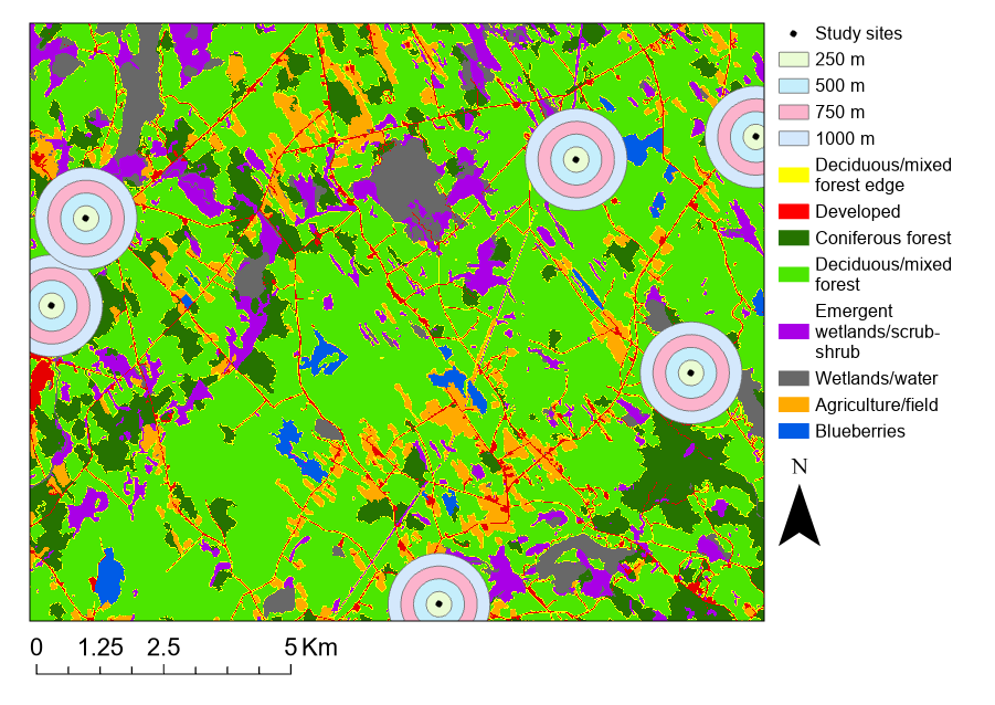 Map of eight land cover types with study sites surrounded by buffers representing bee foraging distance