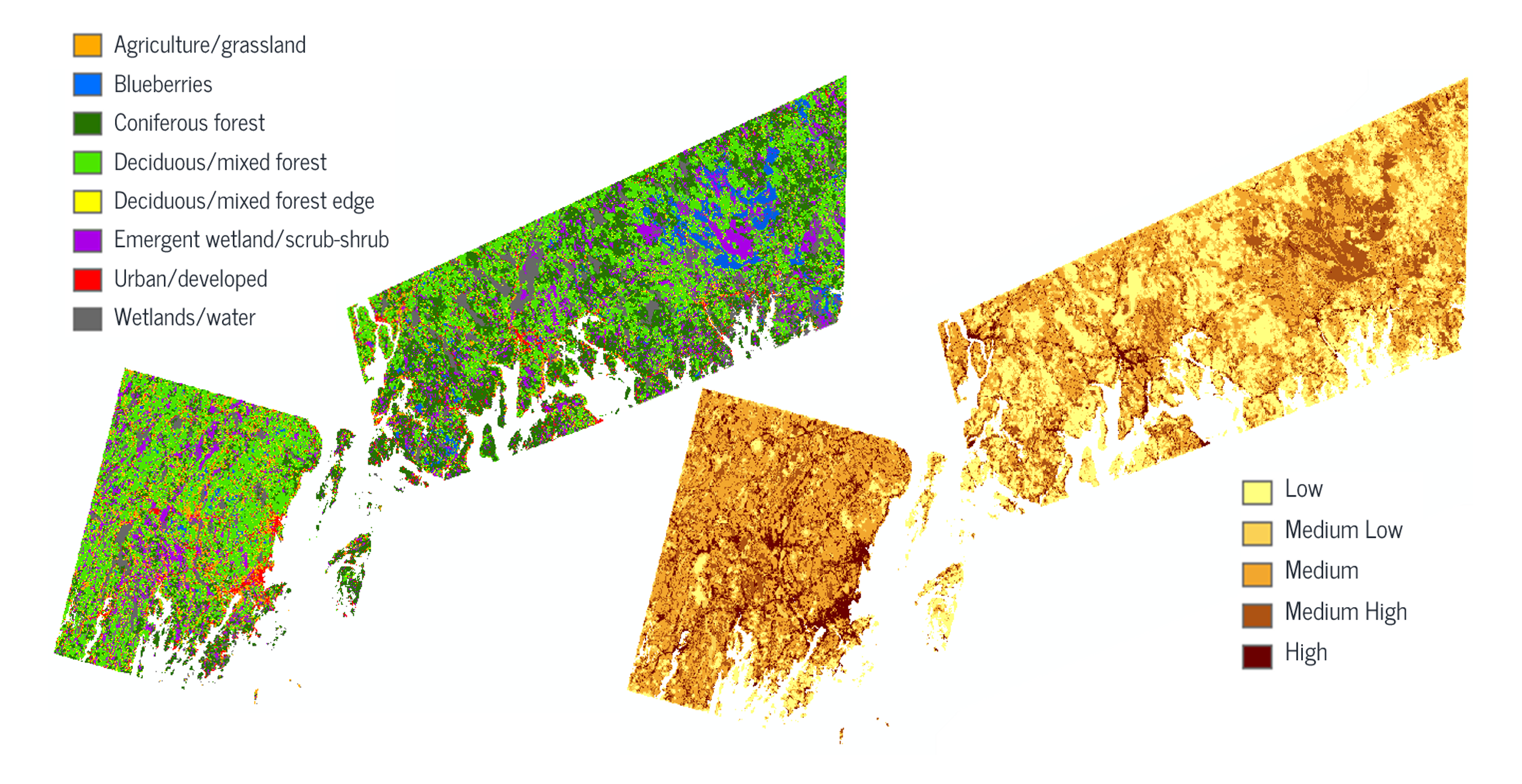 Land cover map and predicted bee abundance map