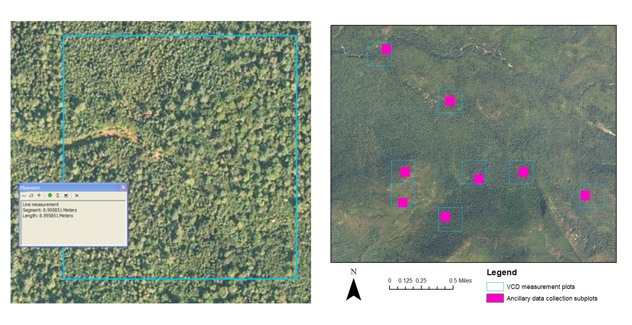 Aerial photography of forest tree crowns