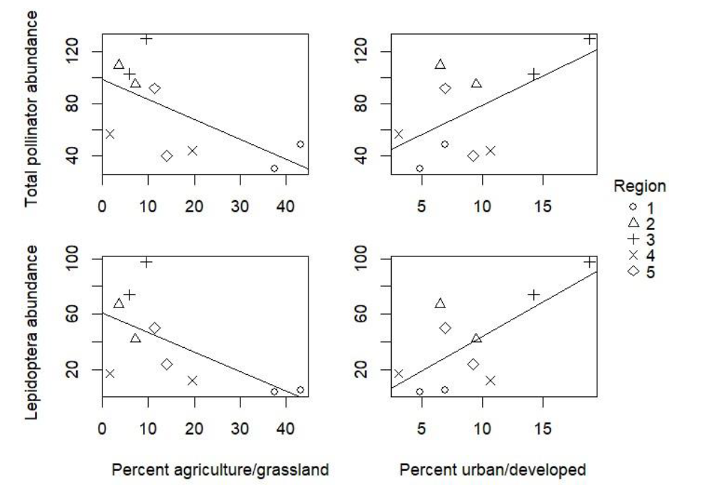 Four graphs of pollinator abundance and percent land cover